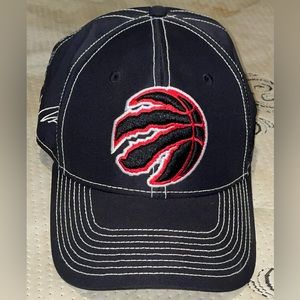 Toronto Raptors Flex Fit Hat